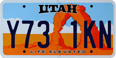 UT license plate Y731KN