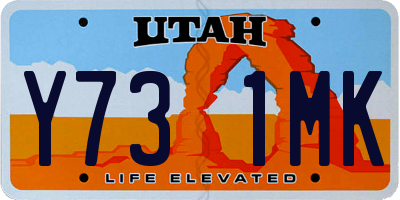 UT license plate Y731MK