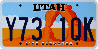 UT license plate Y731QK