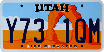 UT license plate Y731QM