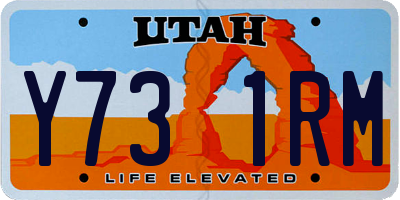 UT license plate Y731RM