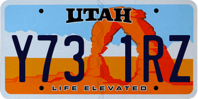 UT license plate Y731RZ