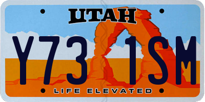 UT license plate Y731SM