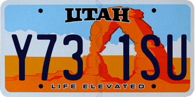 UT license plate Y731SU