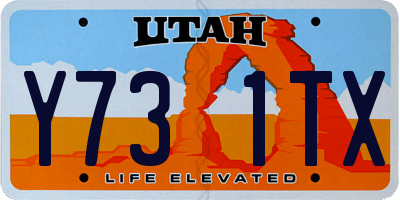 UT license plate Y731TX