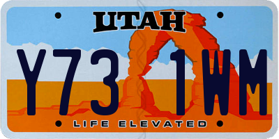 UT license plate Y731WM