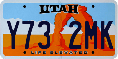 UT license plate Y732MK