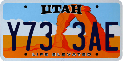 UT license plate Y733AE