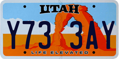 UT license plate Y733AY