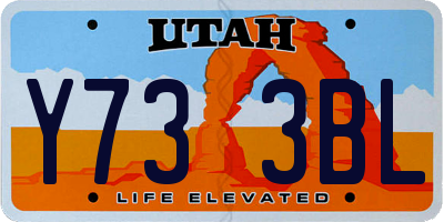 UT license plate Y733BL