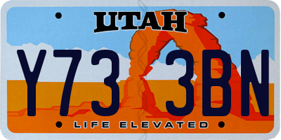 UT license plate Y733BN