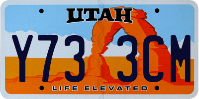 UT license plate Y733CM