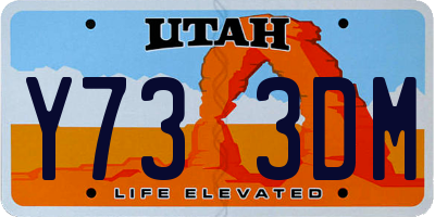 UT license plate Y733DM