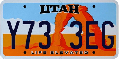 UT license plate Y733EG