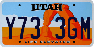 UT license plate Y733GM