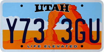 UT license plate Y733GU