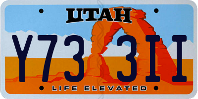 UT license plate Y733II