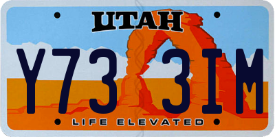 UT license plate Y733IM