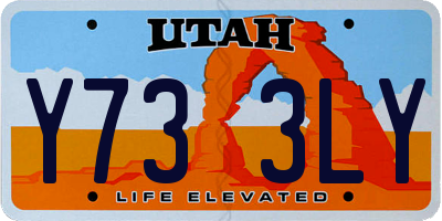 UT license plate Y733LY