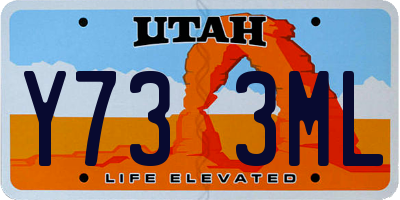 UT license plate Y733ML