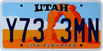 UT license plate Y733MN