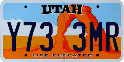 UT license plate Y733MR