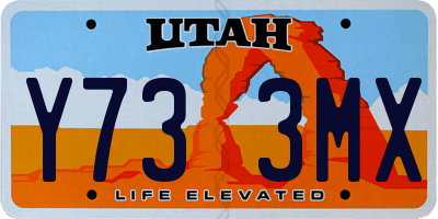 UT license plate Y733MX