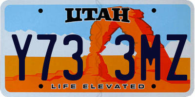 UT license plate Y733MZ