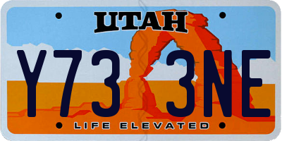 UT license plate Y733NE