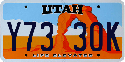 UT license plate Y733OK