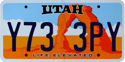 UT license plate Y733PY