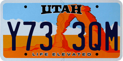 UT license plate Y733QM