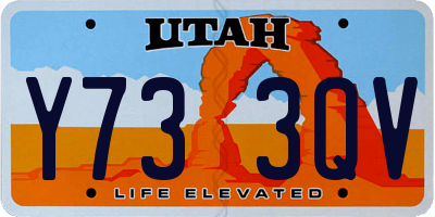 UT license plate Y733QV