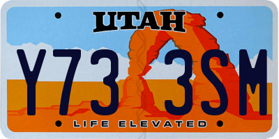 UT license plate Y733SM