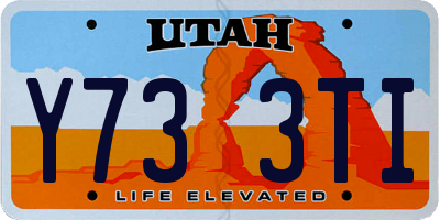 UT license plate Y733TI
