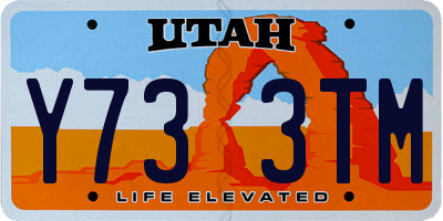 UT license plate Y733TM
