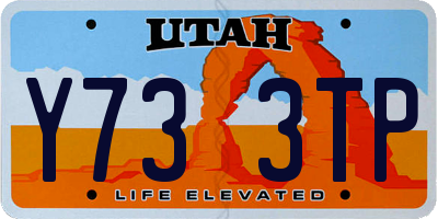 UT license plate Y733TP