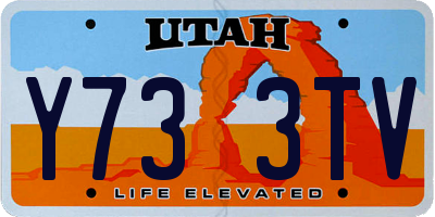 UT license plate Y733TV