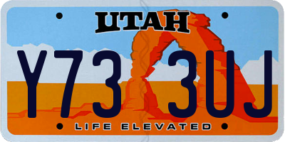 UT license plate Y733UJ