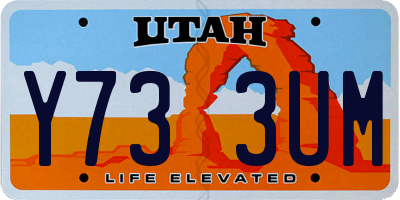 UT license plate Y733UM