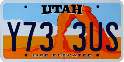 UT license plate Y733US