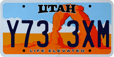 UT license plate Y733XM