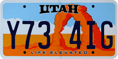 UT license plate Y734IG