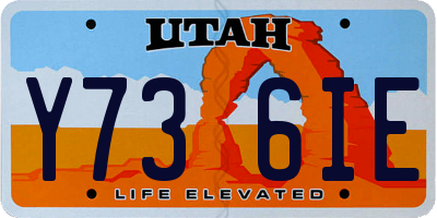 UT license plate Y736IE