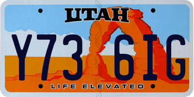 UT license plate Y736IG