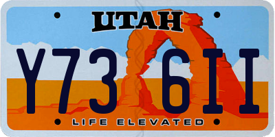 UT license plate Y736II