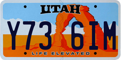 UT license plate Y736IM