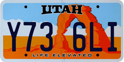 UT license plate Y736LI