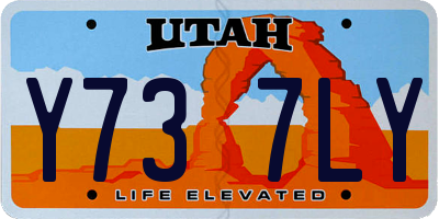 UT license plate Y737LY