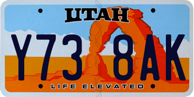 UT license plate Y738AK